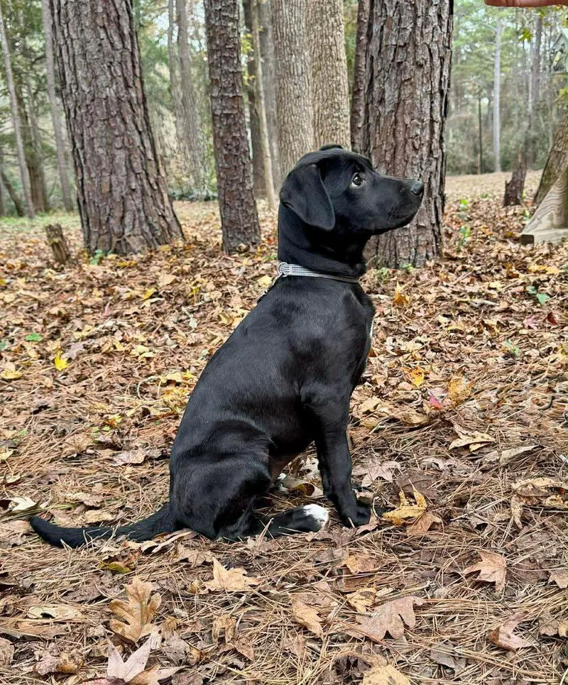 Lottie Loo thumbnail 5