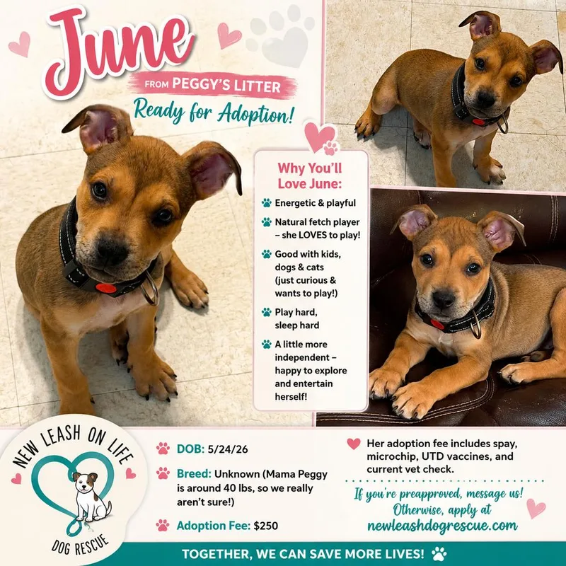 June