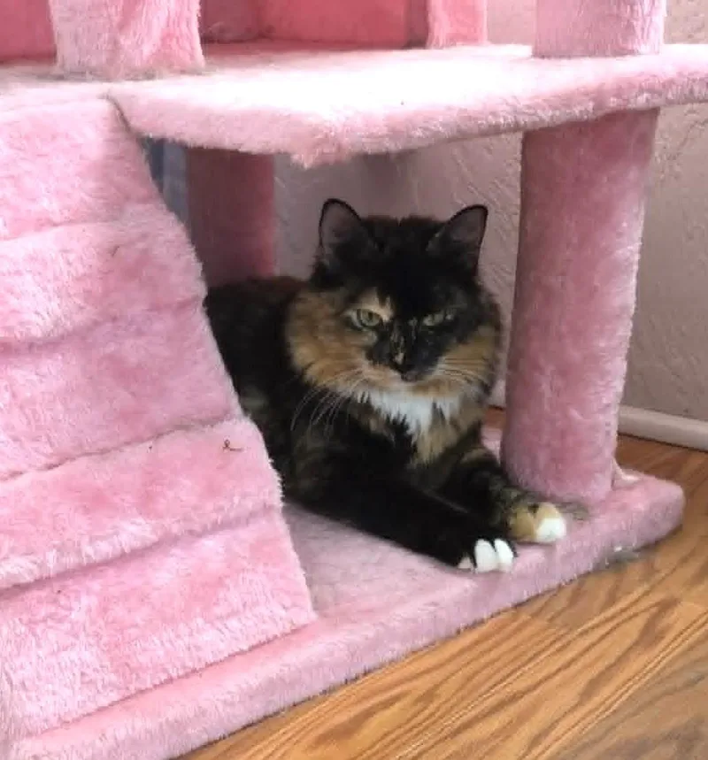 Claudia thumbnail 4
