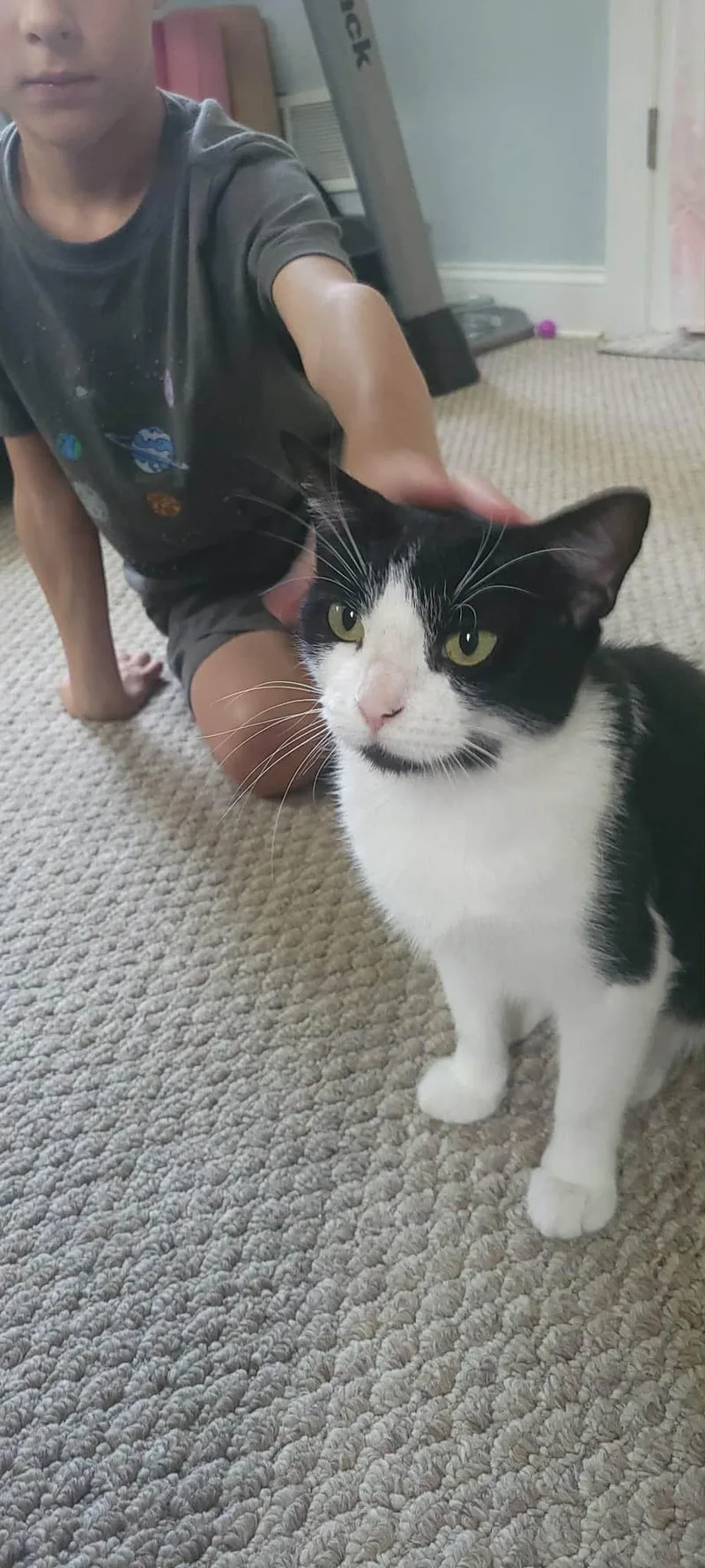 Pearl thumbnail 4