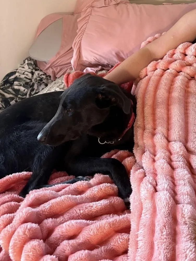 Onyx