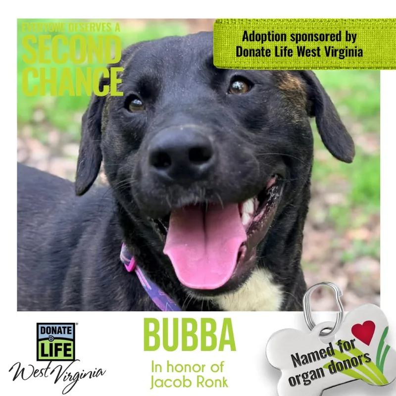 Bubba Fka Bubblegum thumbnail 2
