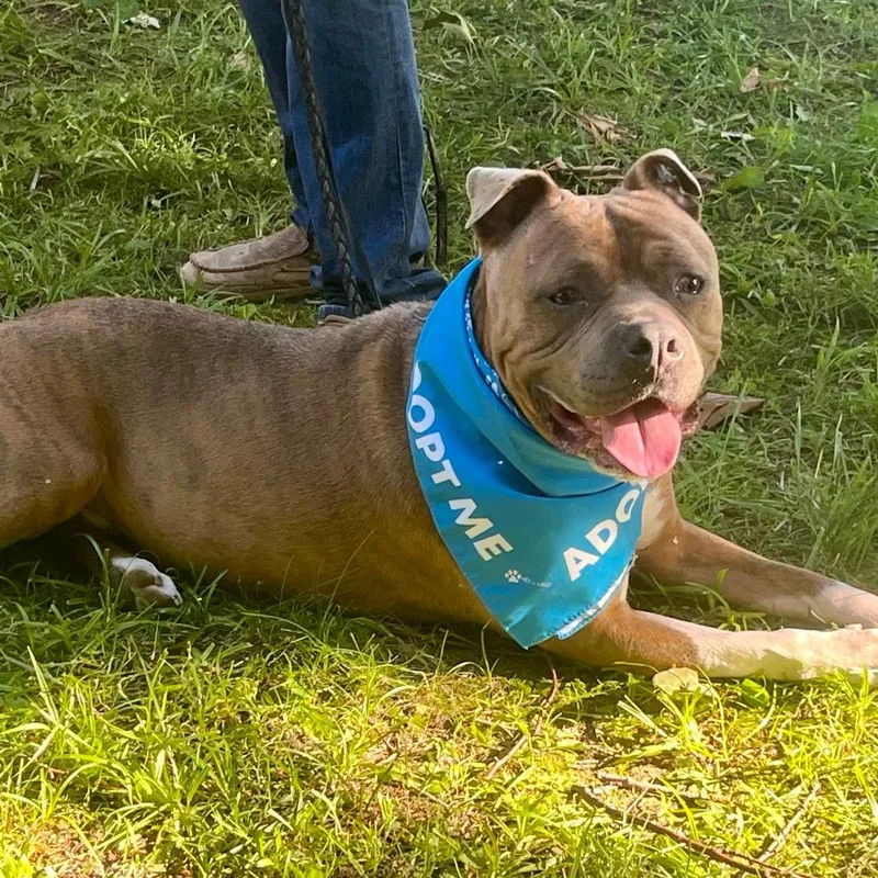 Captain Chunk thumbnail 2