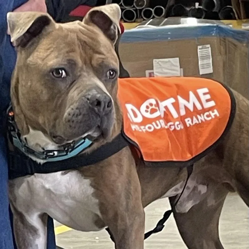 Captain Chunk thumbnail 3