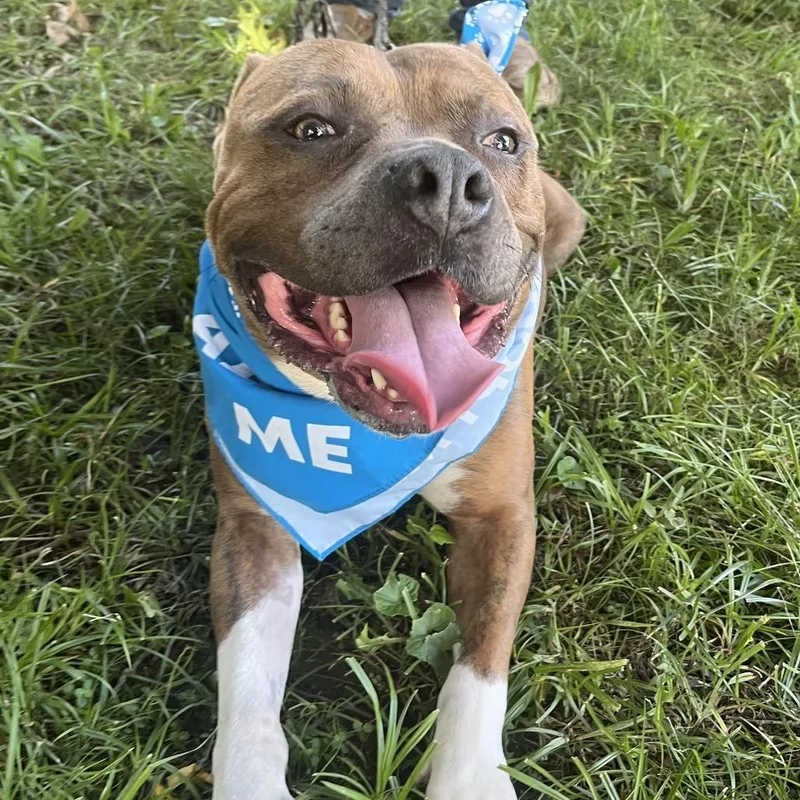 Captain Chunk thumbnail 4