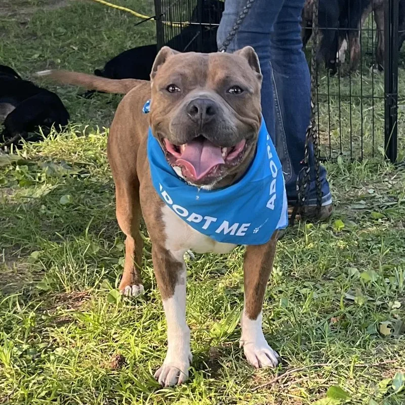 Captain Chunk thumbnail 5