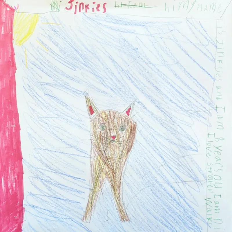 Jinksies thumbnail 2