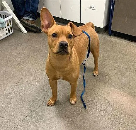 Tina Turner thumbnail 2