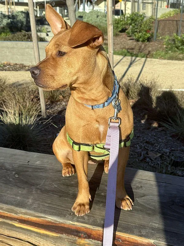 Tina Turner thumbnail 3