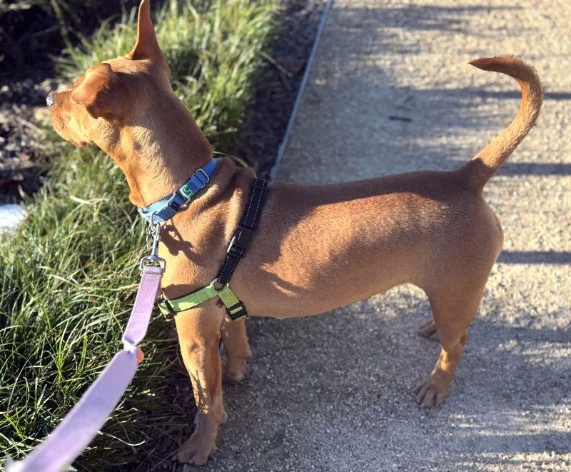 Tina Turner thumbnail 5