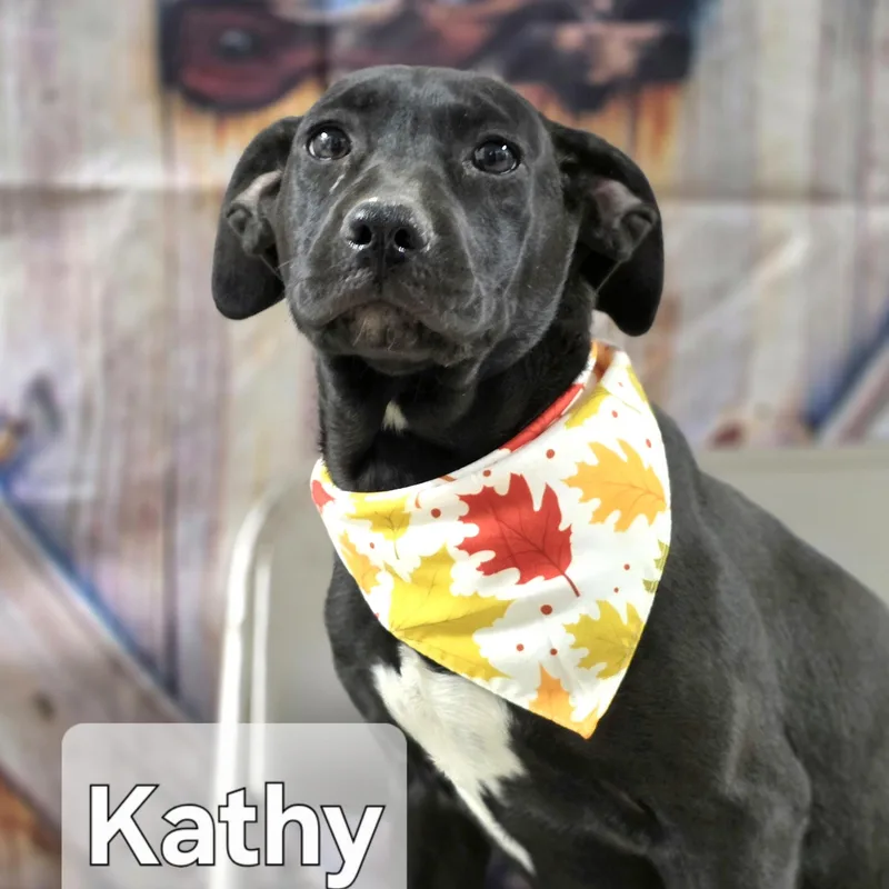 Kathy thumbnail 3
