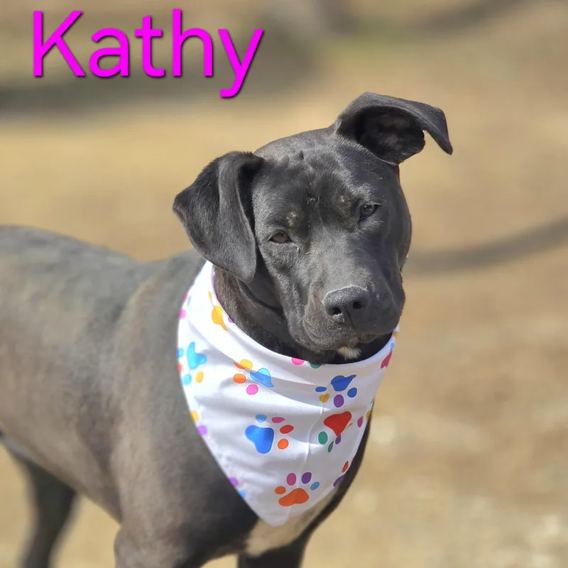 Kathy thumbnail 5