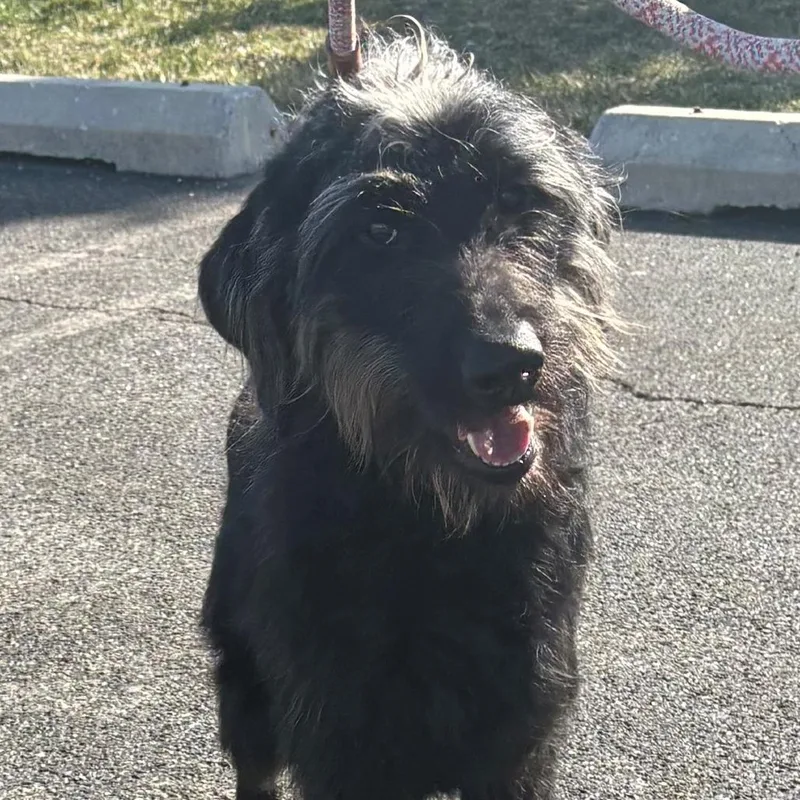 Einstein thumbnail 3