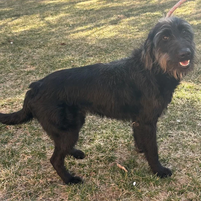 Einstein thumbnail 4