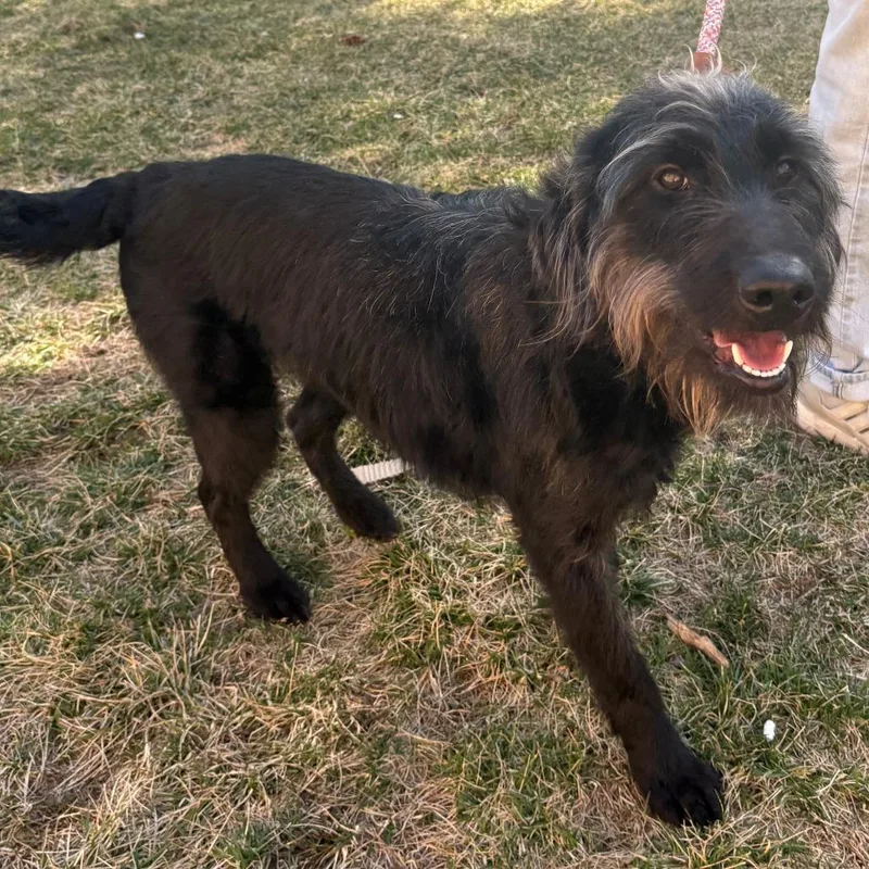 Einstein thumbnail 5