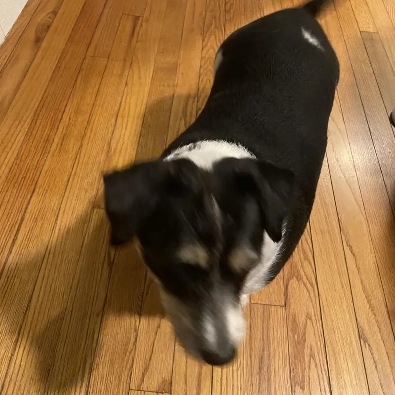 Millie