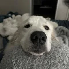 Nyla