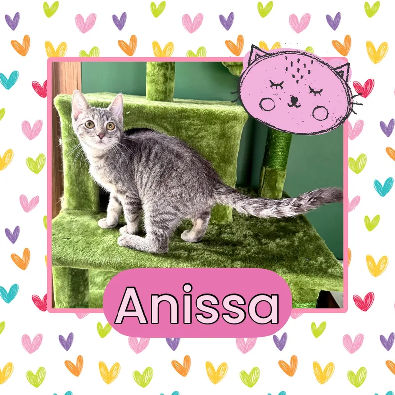 Anissa
