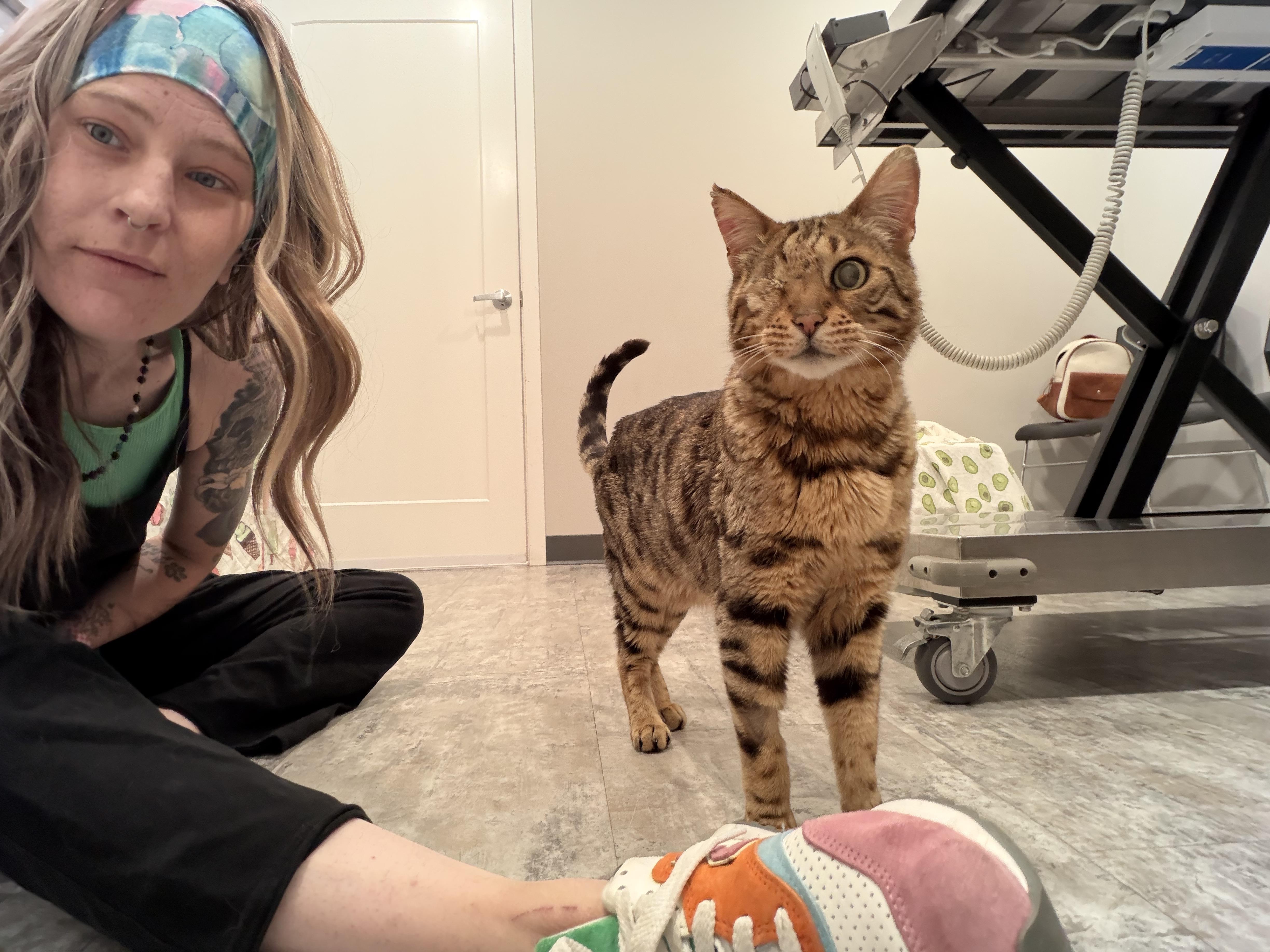 Cy thumbnail 3