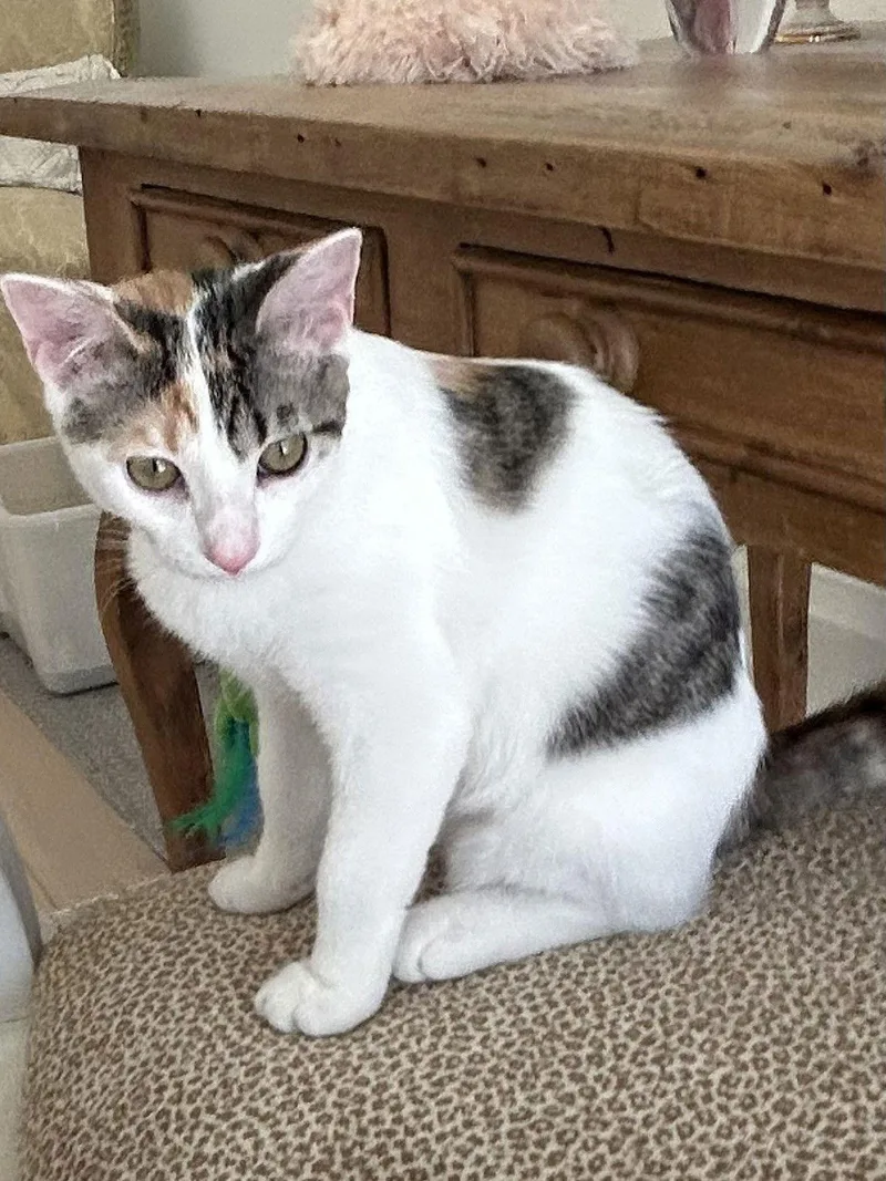 Bonded Pair: Milo And