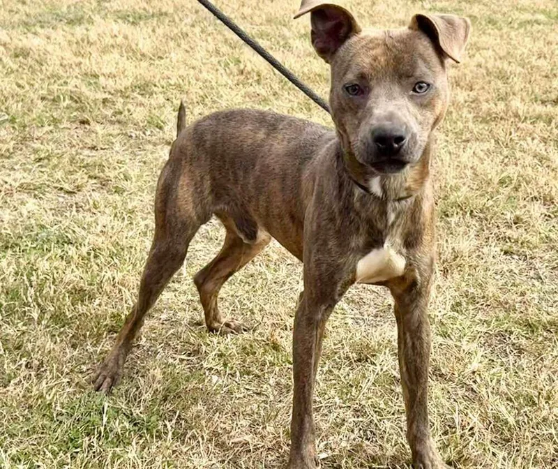 Baby Boy thumbnail 2