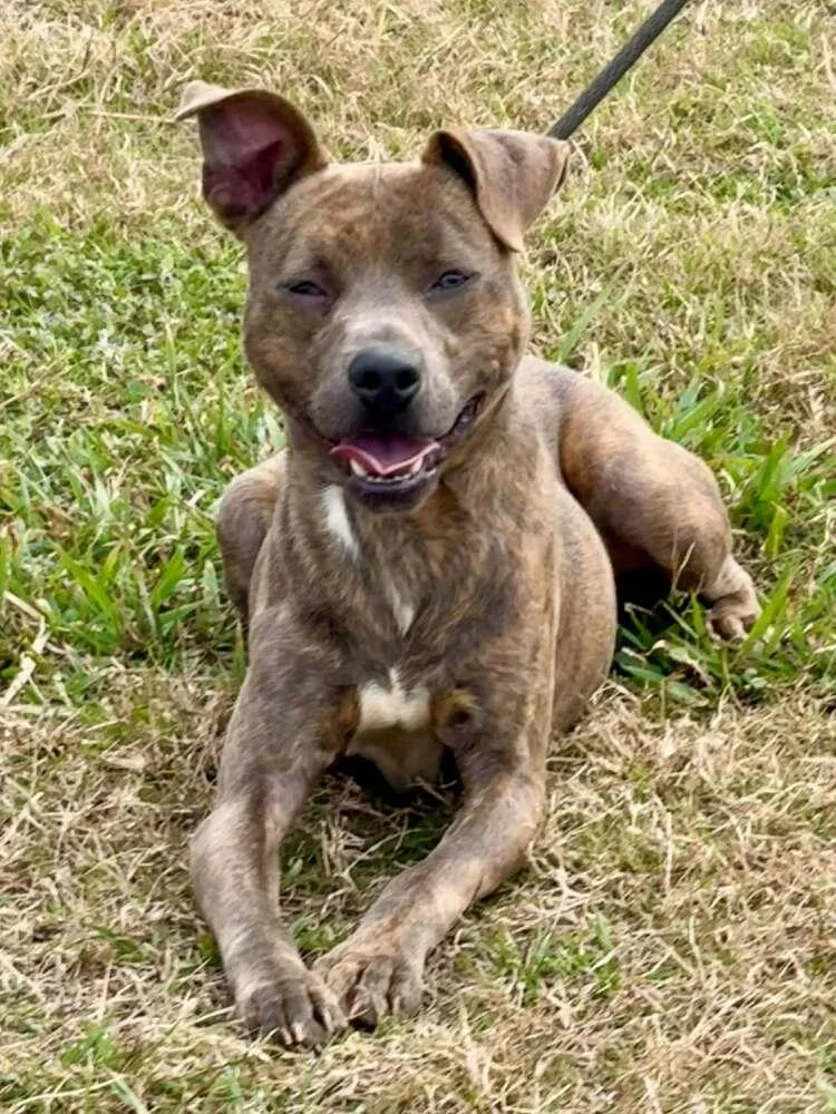 Baby Boy thumbnail 3