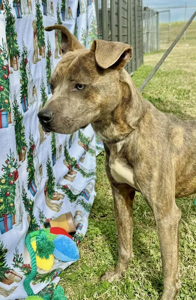 Baby Boy thumbnail 5