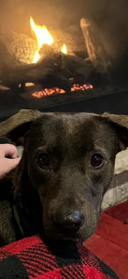 Connelly $ thumbnail 2