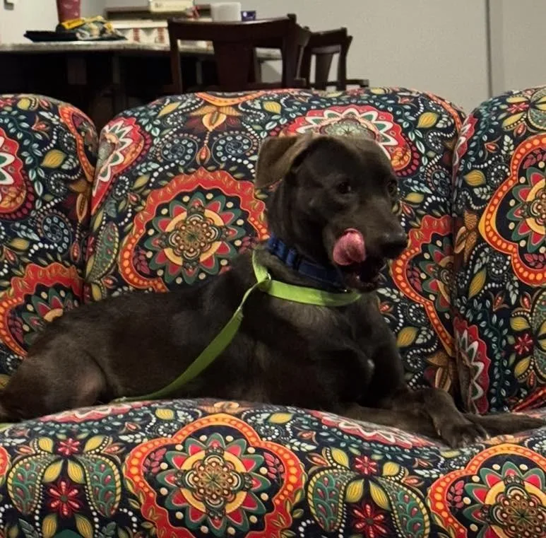 Connelly $ thumbnail 3