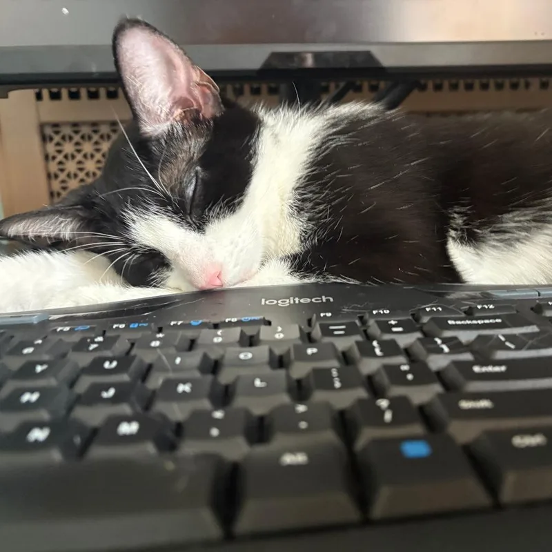 Miss Beans thumbnail 5