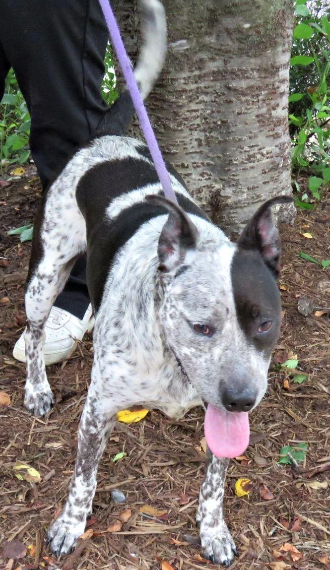 Luna