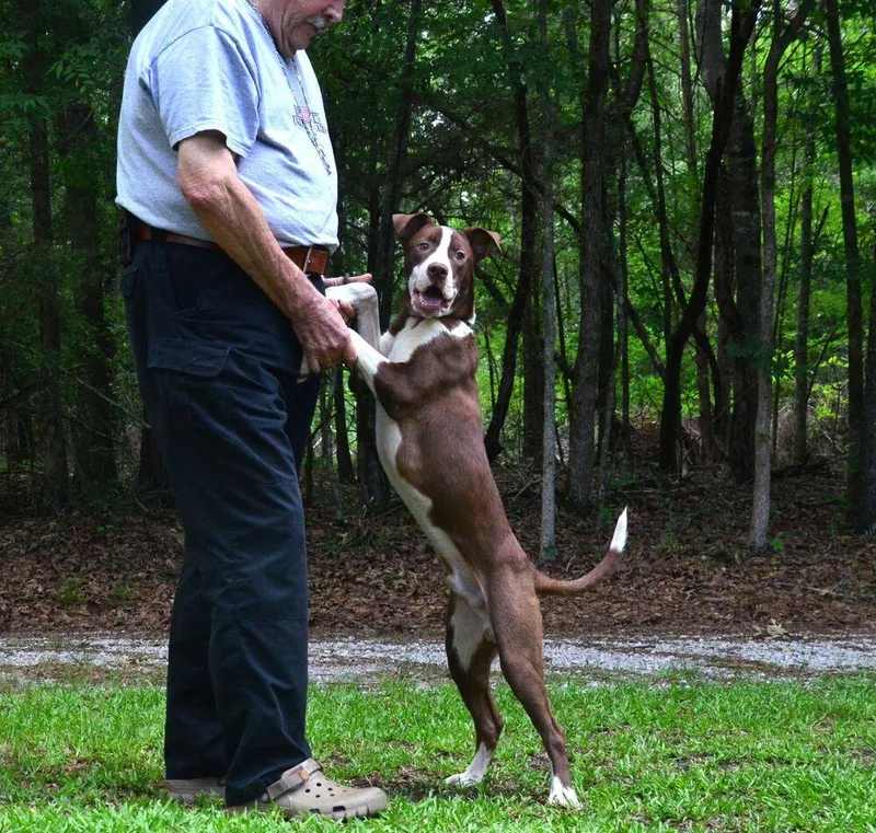 Jimmy thumbnail 3
