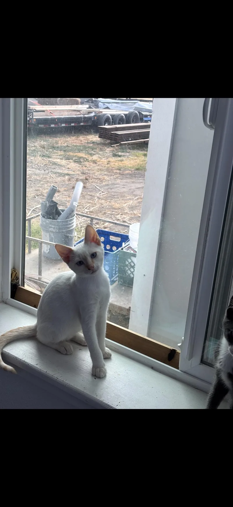 Casper
