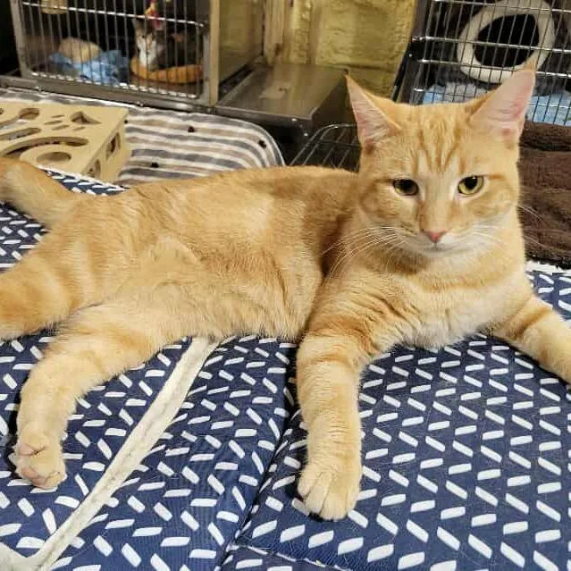 Rusty Sponsored! thumbnail 4