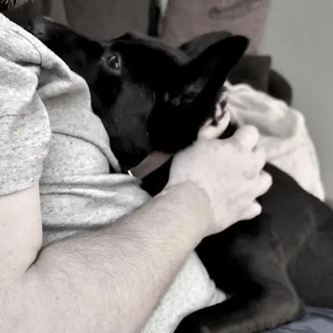 Pay Pay D thumbnail 5