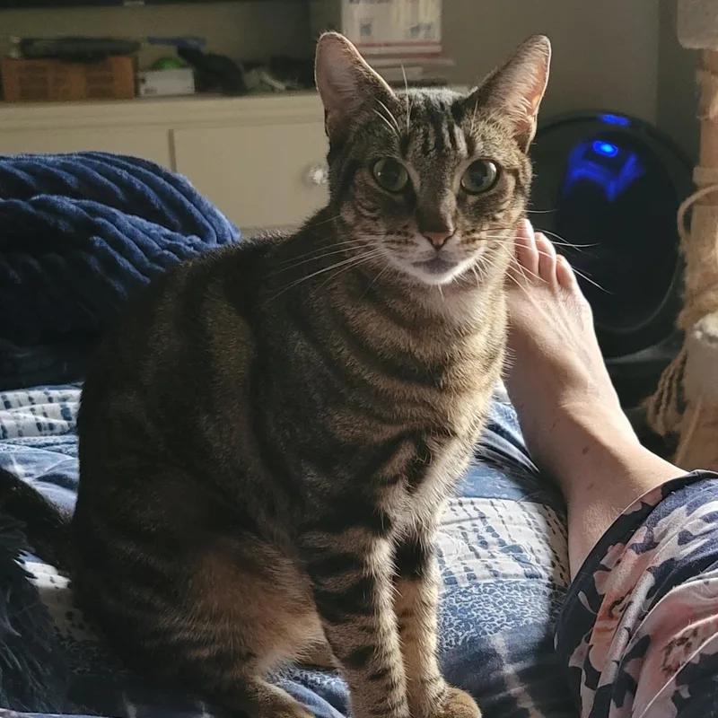 Samantha thumbnail 2