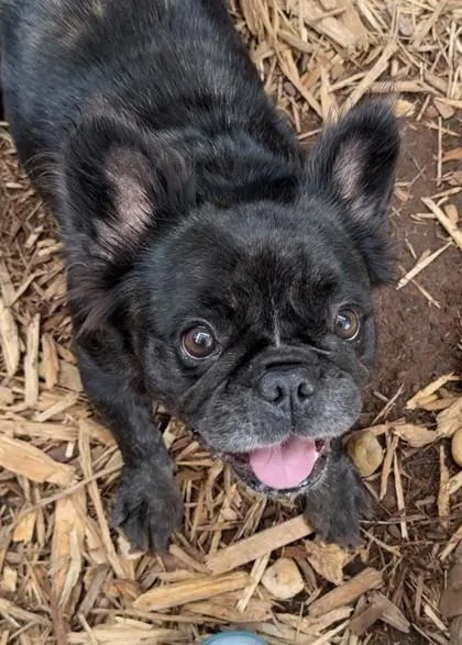 Molly