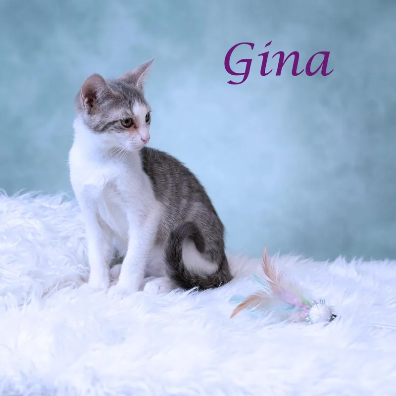 Gina C thumbnail 2