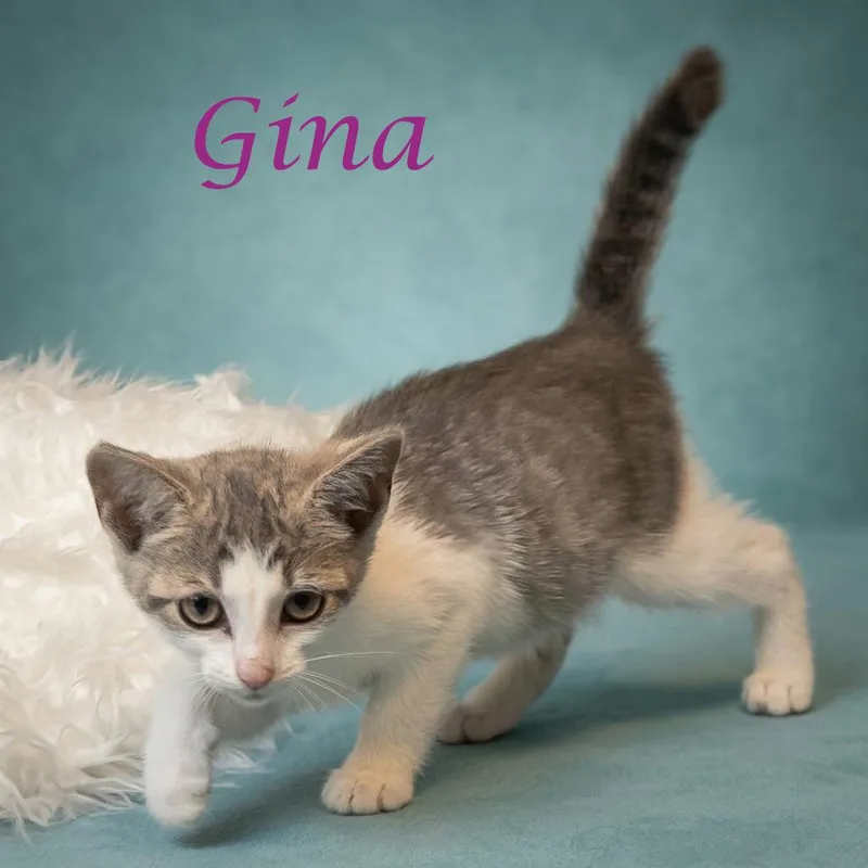 Gina C thumbnail 6