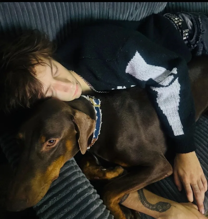 Cooper The Dashing Doberman thumbnail 2