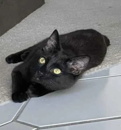 Midnight thumbnail 2