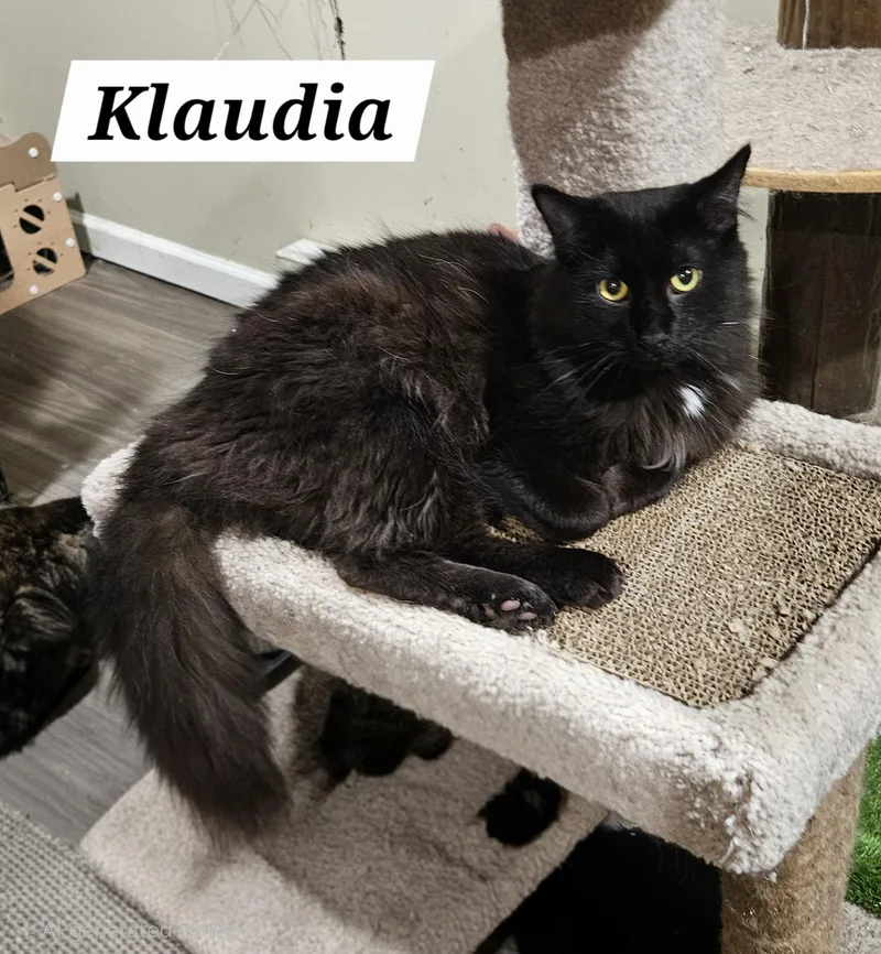 Klaudia thumbnail 2