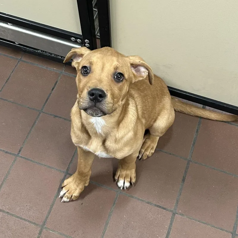 Franklin D thumbnail 2