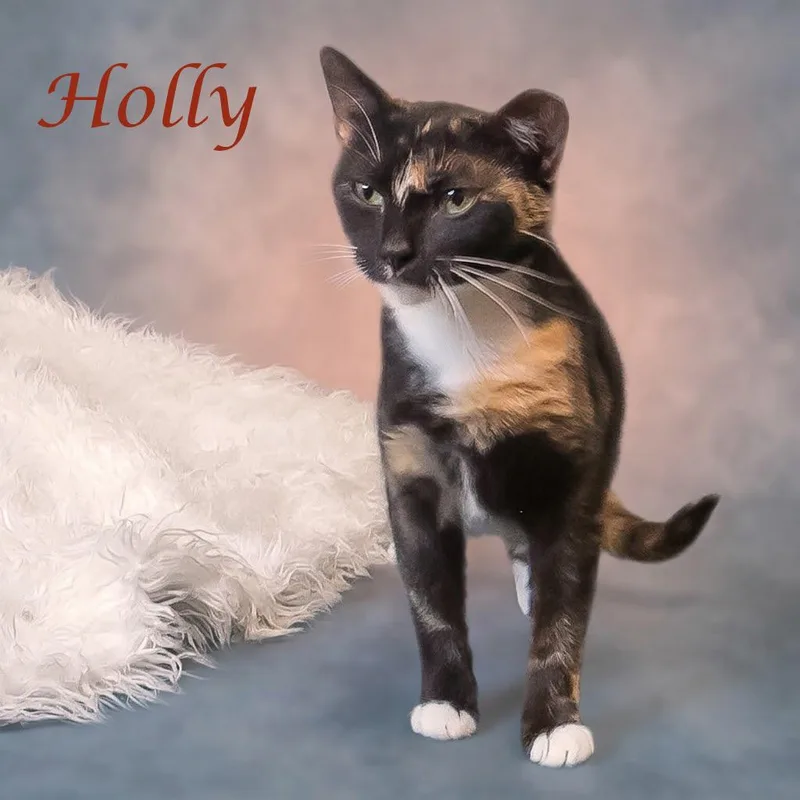 Holly C thumbnail 3