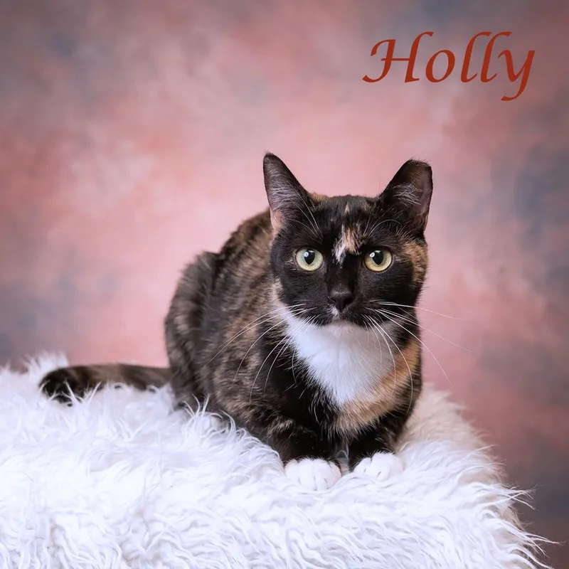 Holly C thumbnail 5
