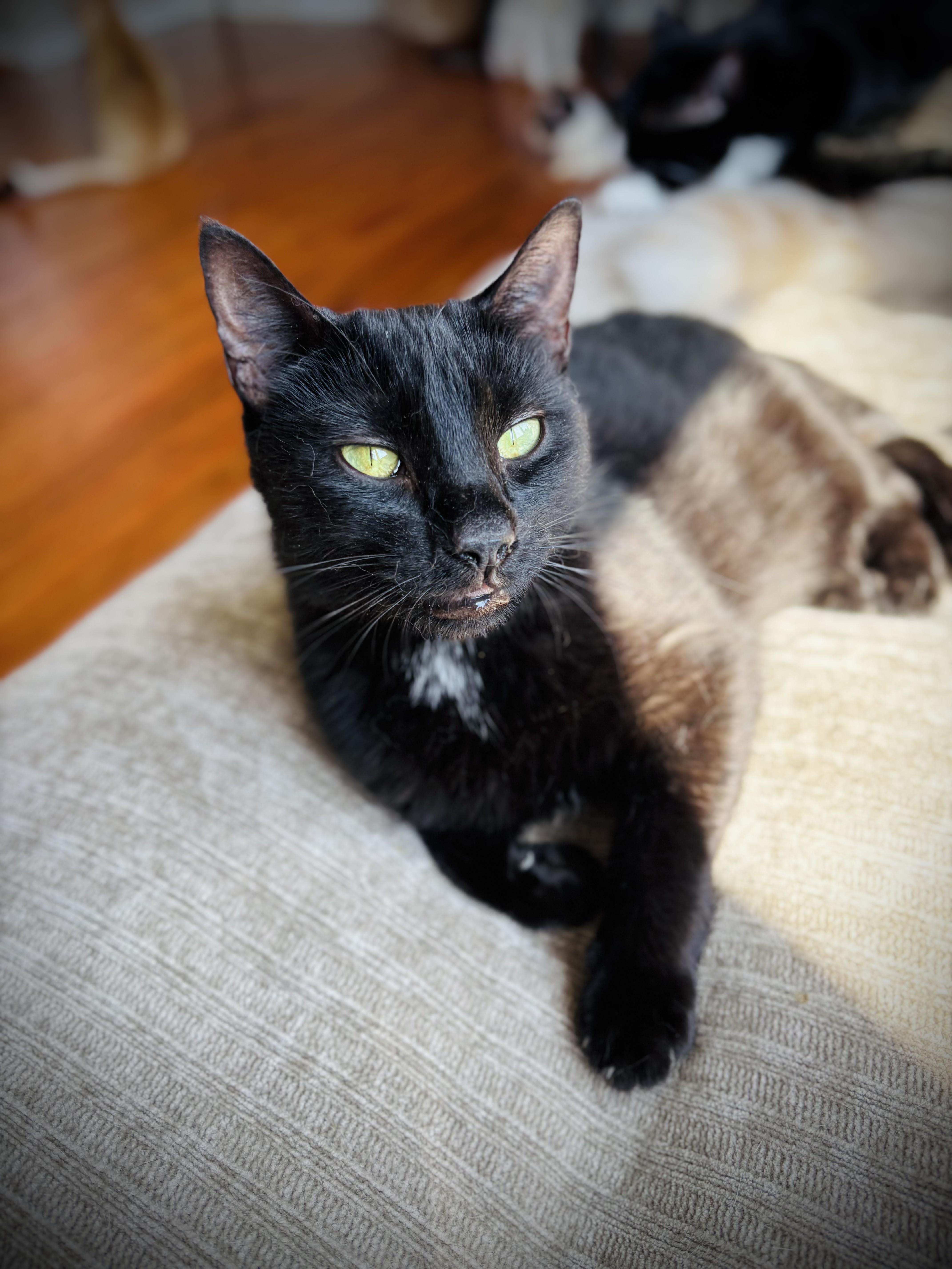 Maggie Mae thumbnail 2