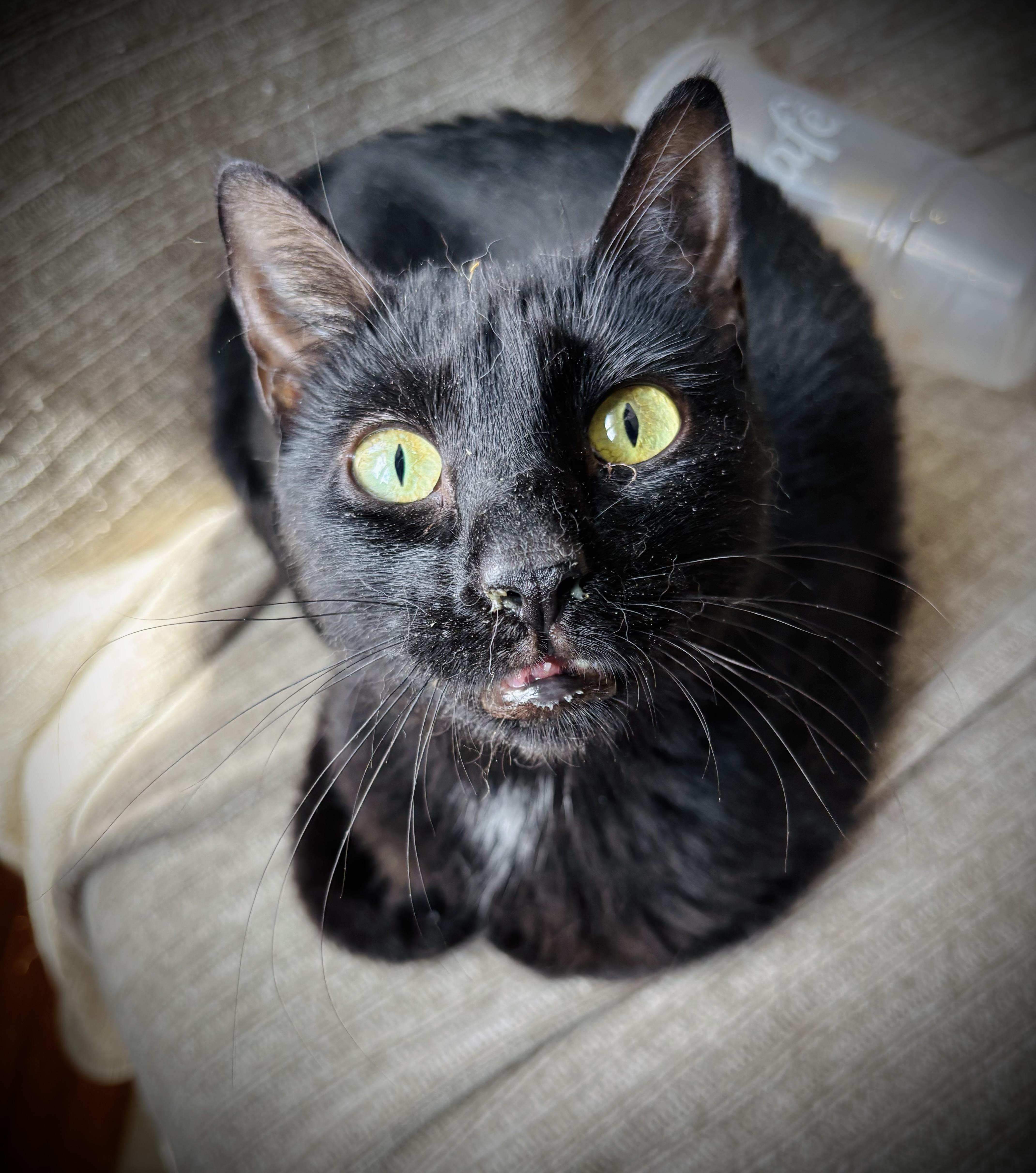 Maggie Mae thumbnail 3