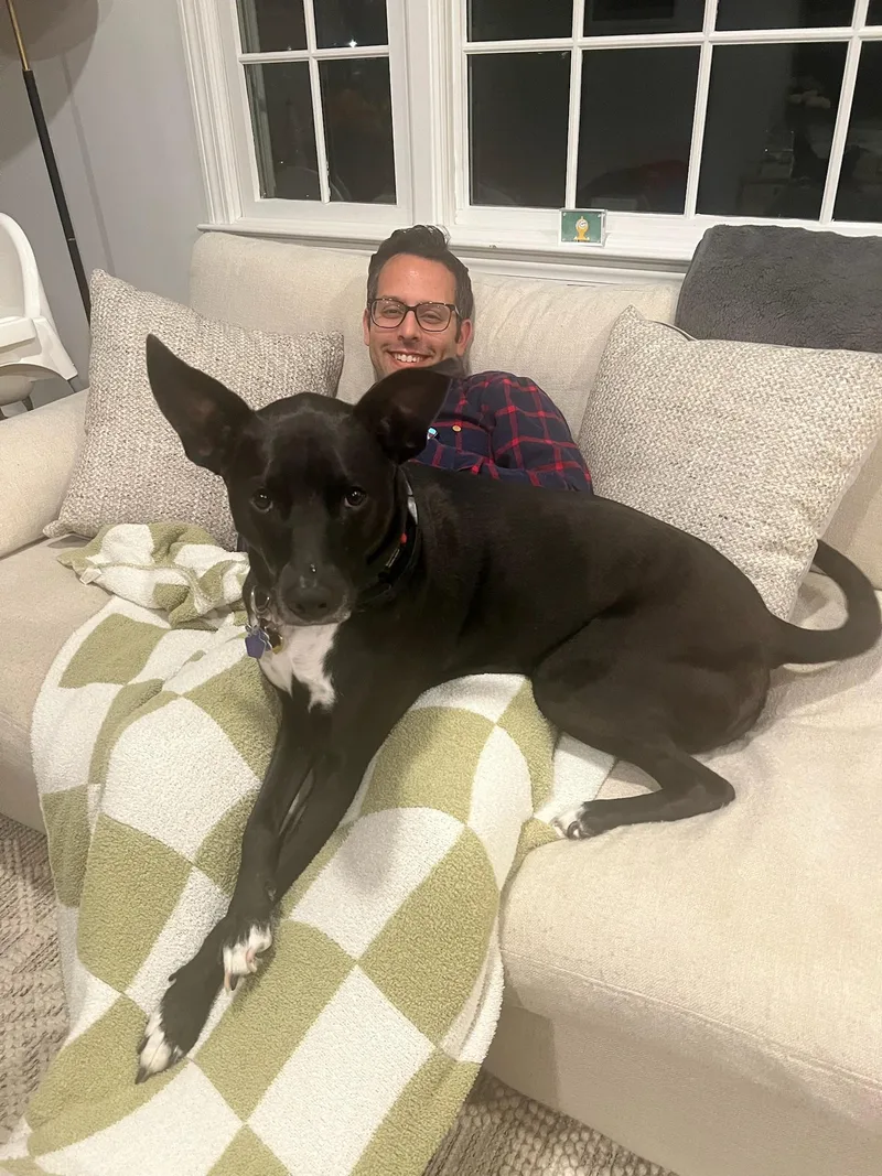 Mallomar thumbnail 2