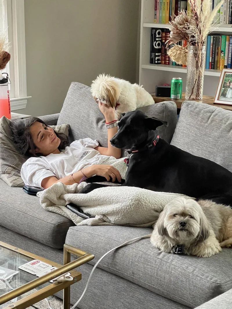 Mallomar thumbnail 6