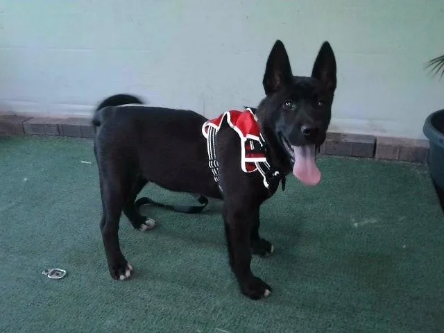 Zeus